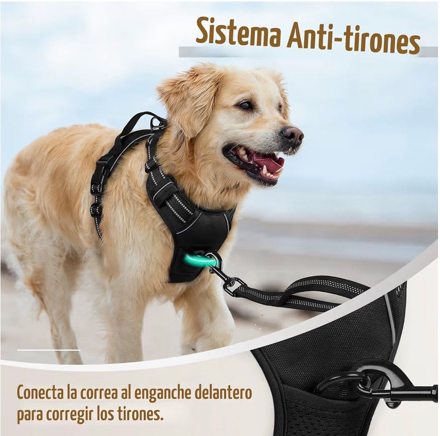 Arnés Antitirones Premium (Tallas S a XL)