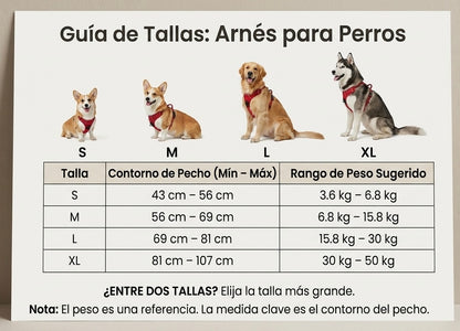Arnés Antitirones Premium (Tallas S a XL)