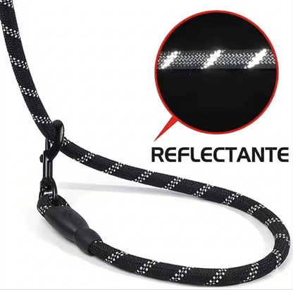 Correa reflectante